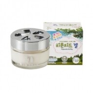 차량용 편백나무 피톤치드 겔50g