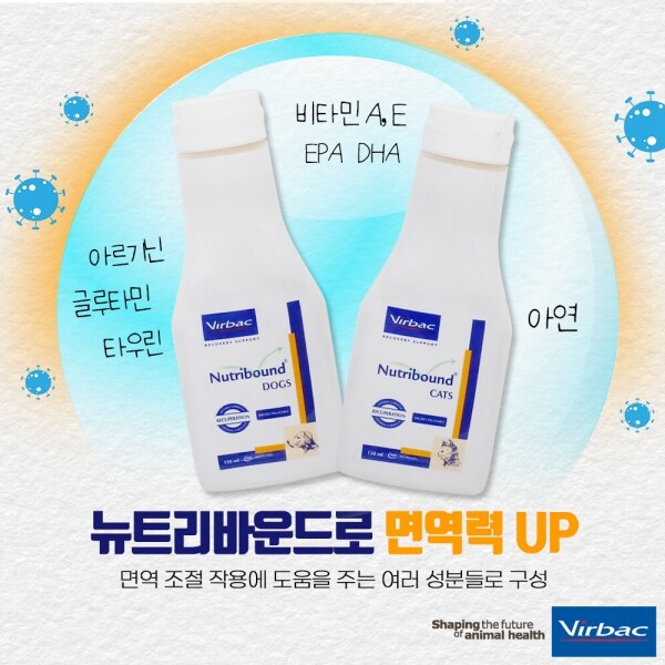 마켓Q,버박 뉴트리바운드 독 강아지 노령견 종합 영양제,,버박,113, 강아지영양제, 강아지종합영양제, 노령견영양제, 강아지면역영양제, 강아지장영양제, 강아지유산균, 강아지오메가3, 강아지비타민, 강아지신장영양제,가구/취미/펫 > 펫용품
