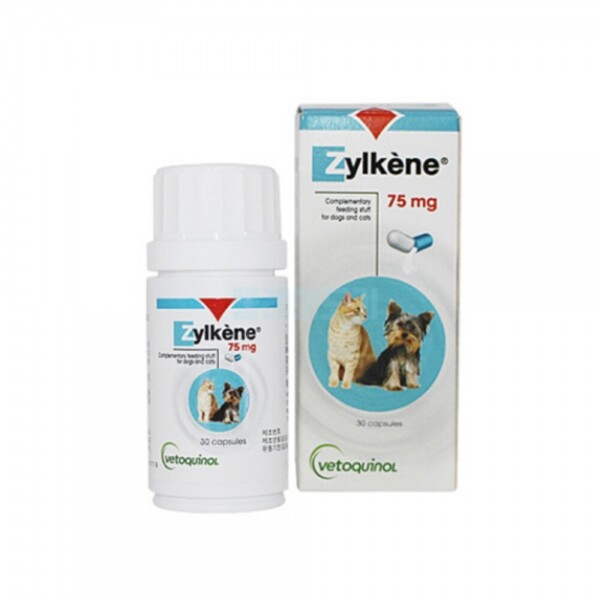 마켓Q,베토퀴놀 질켄 강아지 고양이 스트레스완화 심리안정 75mg, ,베토퀴놀,강아지분리불안, 고양이분리불안, 고양이지각과민증후군, 강아지스트레스, 고양이스트레스, 강아지심리안정제, 고양이심리안정제,가구/취미/펫 > 펫용품