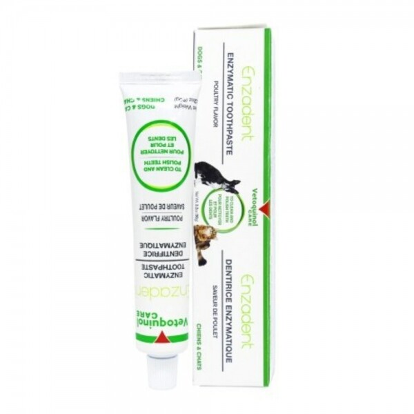마켓Q,베토퀴놀 엔자덴트 닭고기맛 치약 90g,,베토퀴놀,강아지치약, 고양이치약, 강아지치석제거, 고양이치석제거, 강아지입냄새제거, 고양이입냄새제거, 강아지양치, 고양이양치, 강아지충치, 고양이충치,가구/취미/펫 > 펫용품