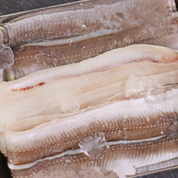 마켓Q,남해 통영 자연산 바다장어 1kg,,,26963,자연산장어,바다장어,남해안장어,캠핑요리,장어구이,장어1kg,부모님선물,손질장어,산지직송,통영장어,국내산,식품 > 수산